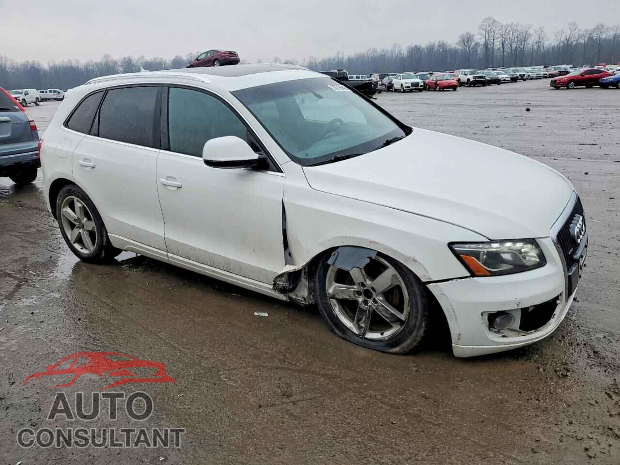 AUDI Q5 2012 - WA1LFAFP8CA055150