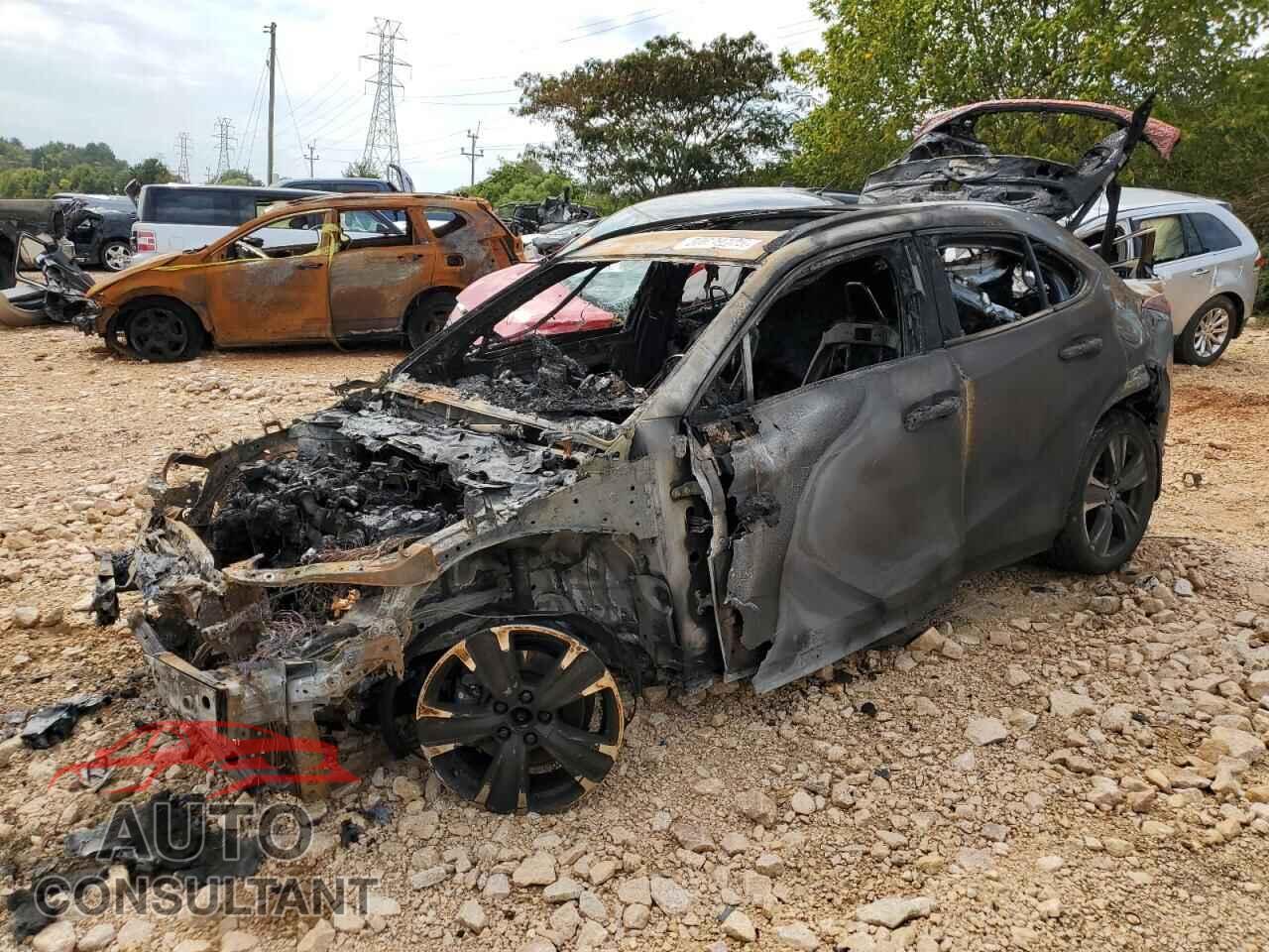 LEXUS UNKNOWN 2019 - JTHY3JBH8K2017539
