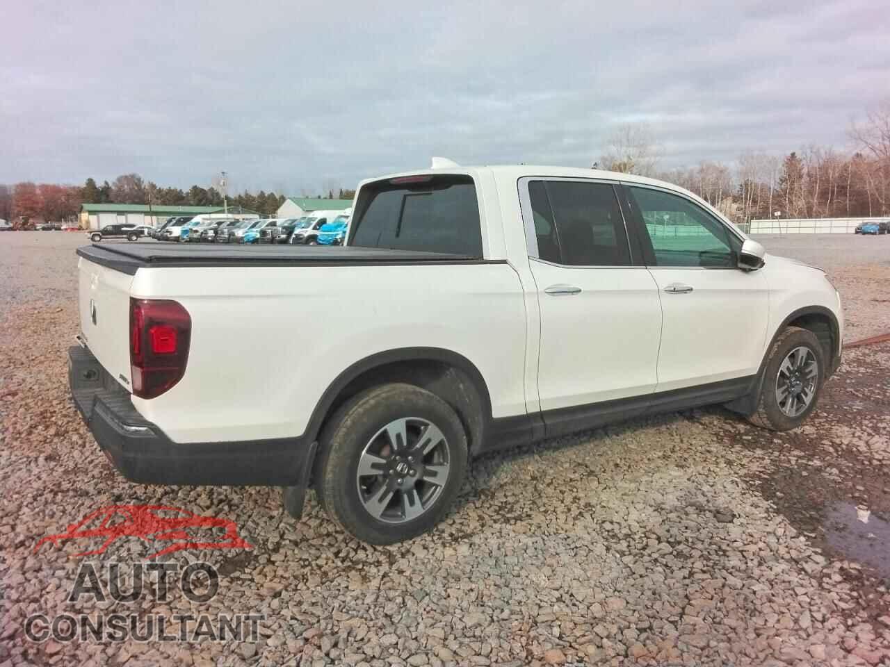 HONDA RIDGELINE 2019 - 5FPYK3F71KB032485