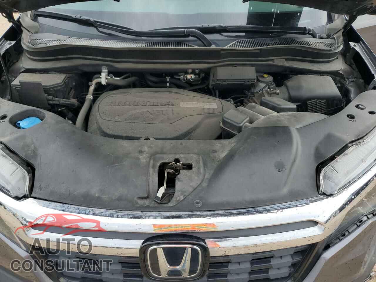 HONDA RIDGELINE 2018 - 5FPYK3F76JB012800