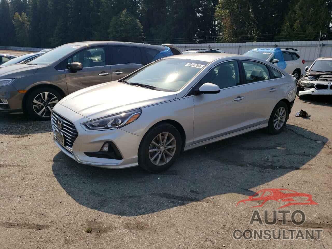 HYUNDAI SONATA 2019 - 5NPE24AF5KH753510