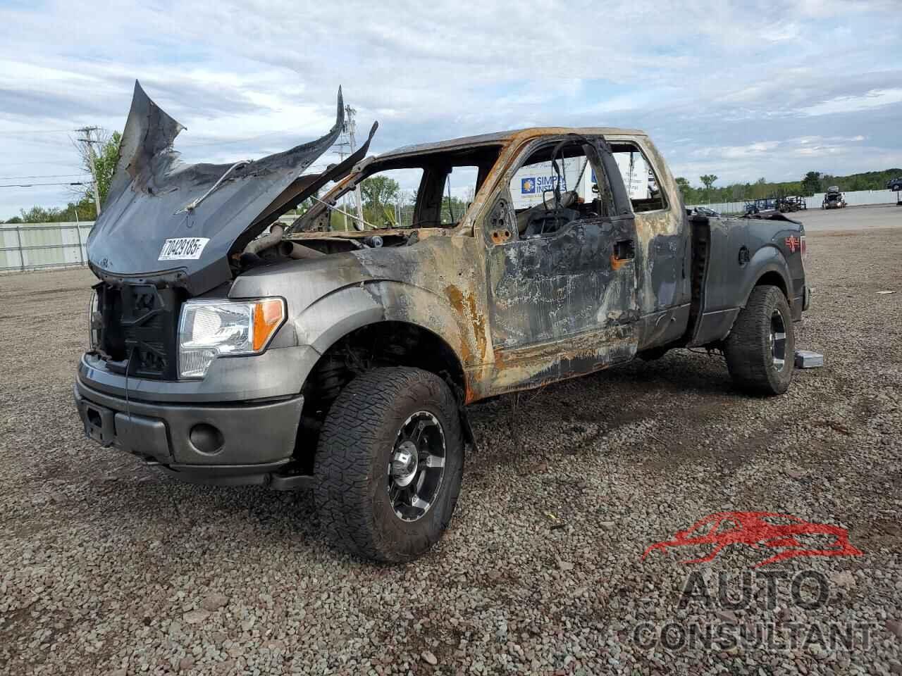 FORD F-150 2010 - 1FTEX1EWXAFA01983