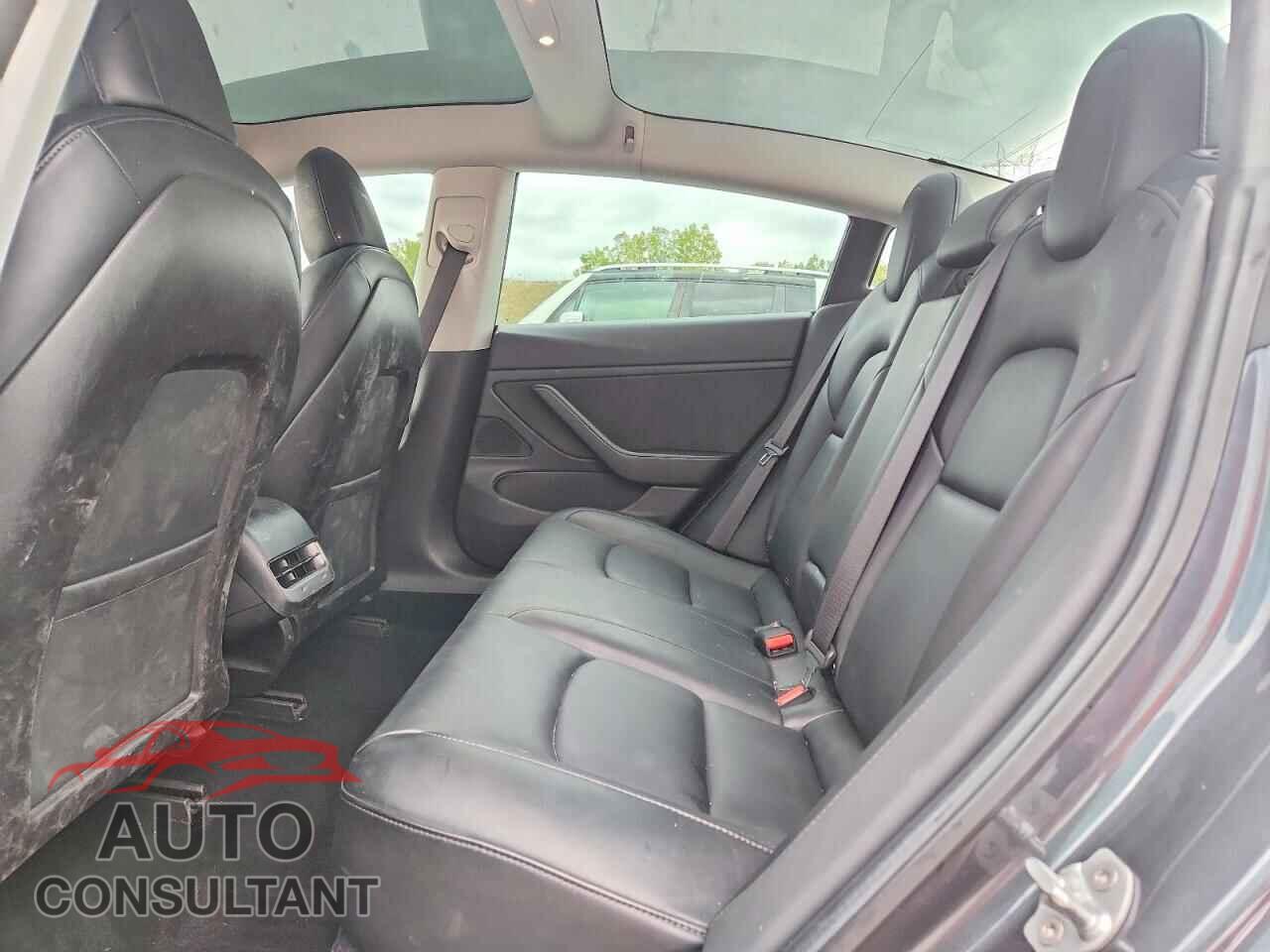TESLA MODEL 3 2019 - 5YJ3E1EA5KF434344