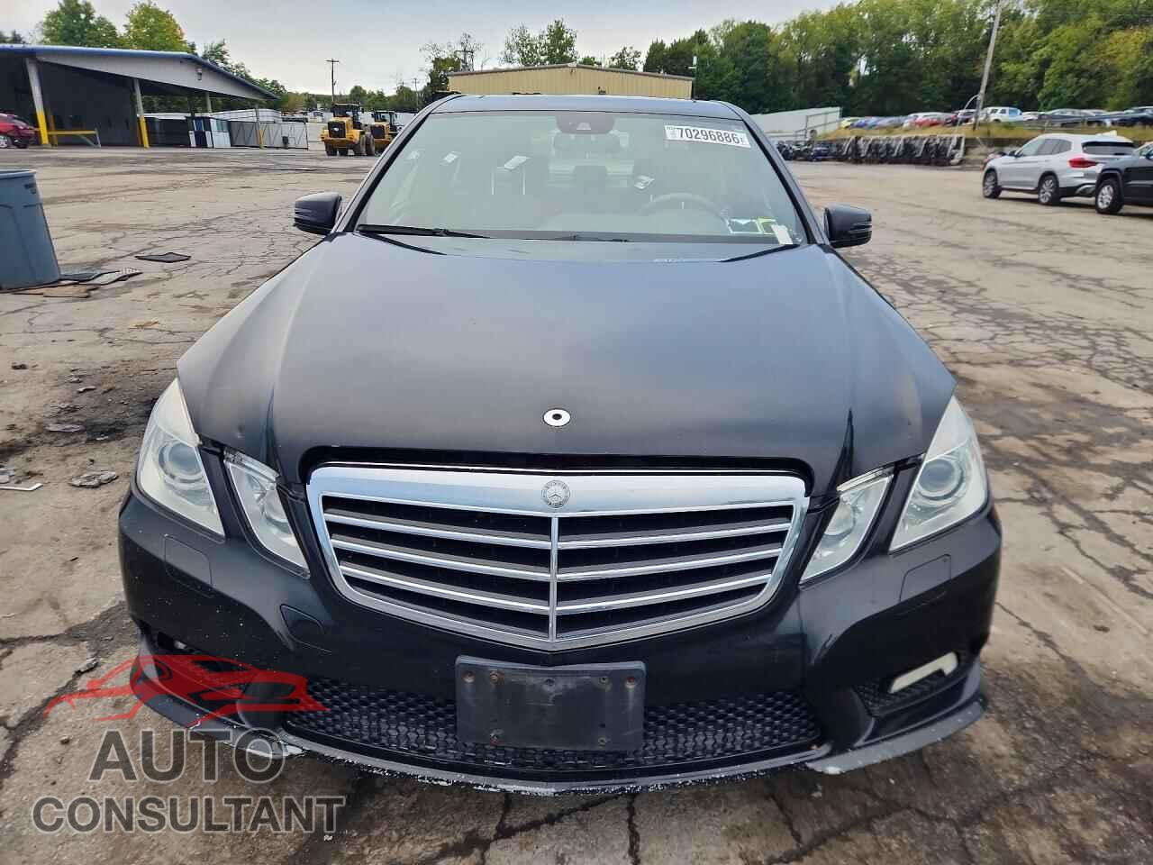 MERCEDES-BENZ E-CLASS 2010 - WDDHF8HB9AA259271