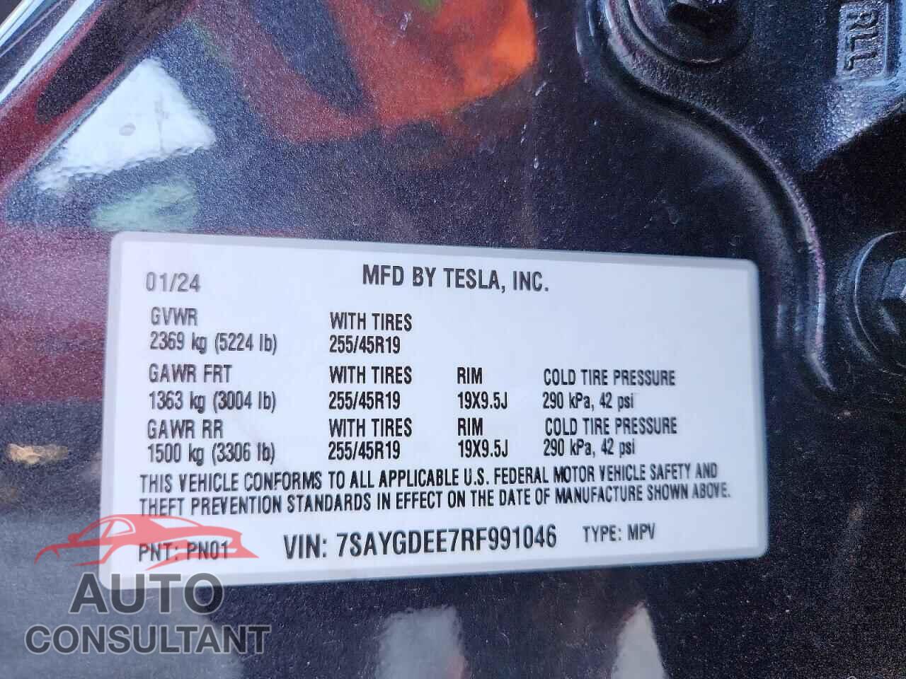 TESLA MODEL Y 2024 - 7SAYGDEE7RF991046