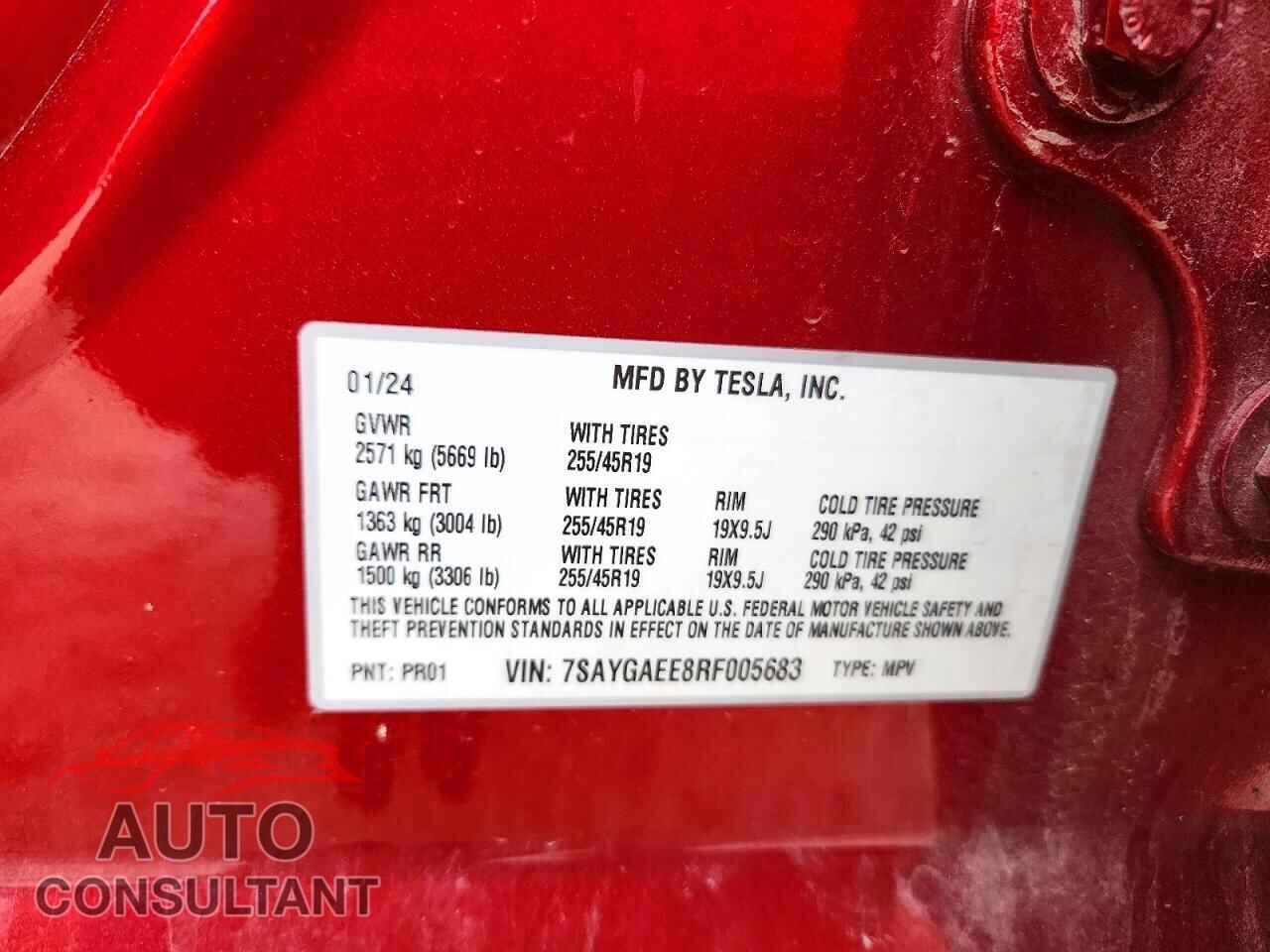 TESLA MODEL Y 2024 - 7SAYGAEE8RF005683