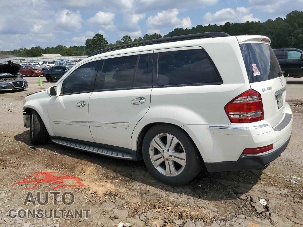 MERCEDES-BENZ GL-CLASS 2009 - 4JGBF71E89A483802