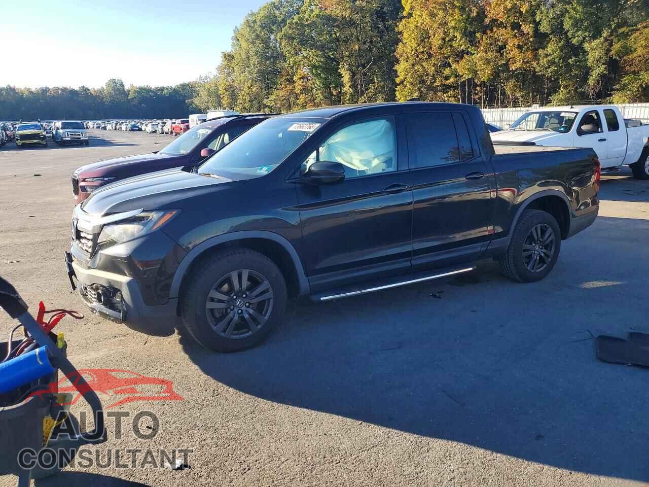 HONDA RIDGELINE 2019 - 5FPYK3F16KB047334