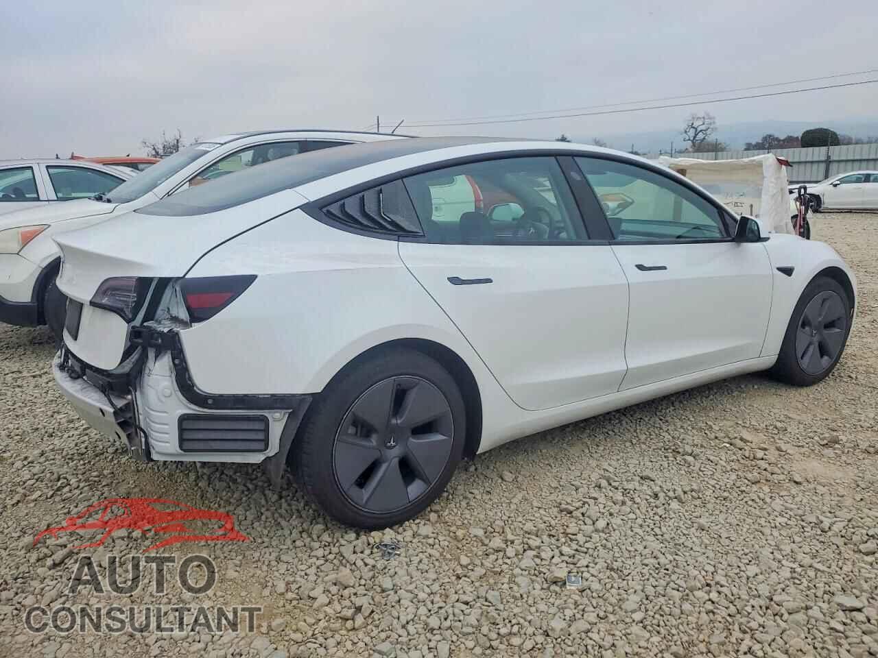 TESLA MODEL 3 2021 - 5YJ3E1EA3MF059122