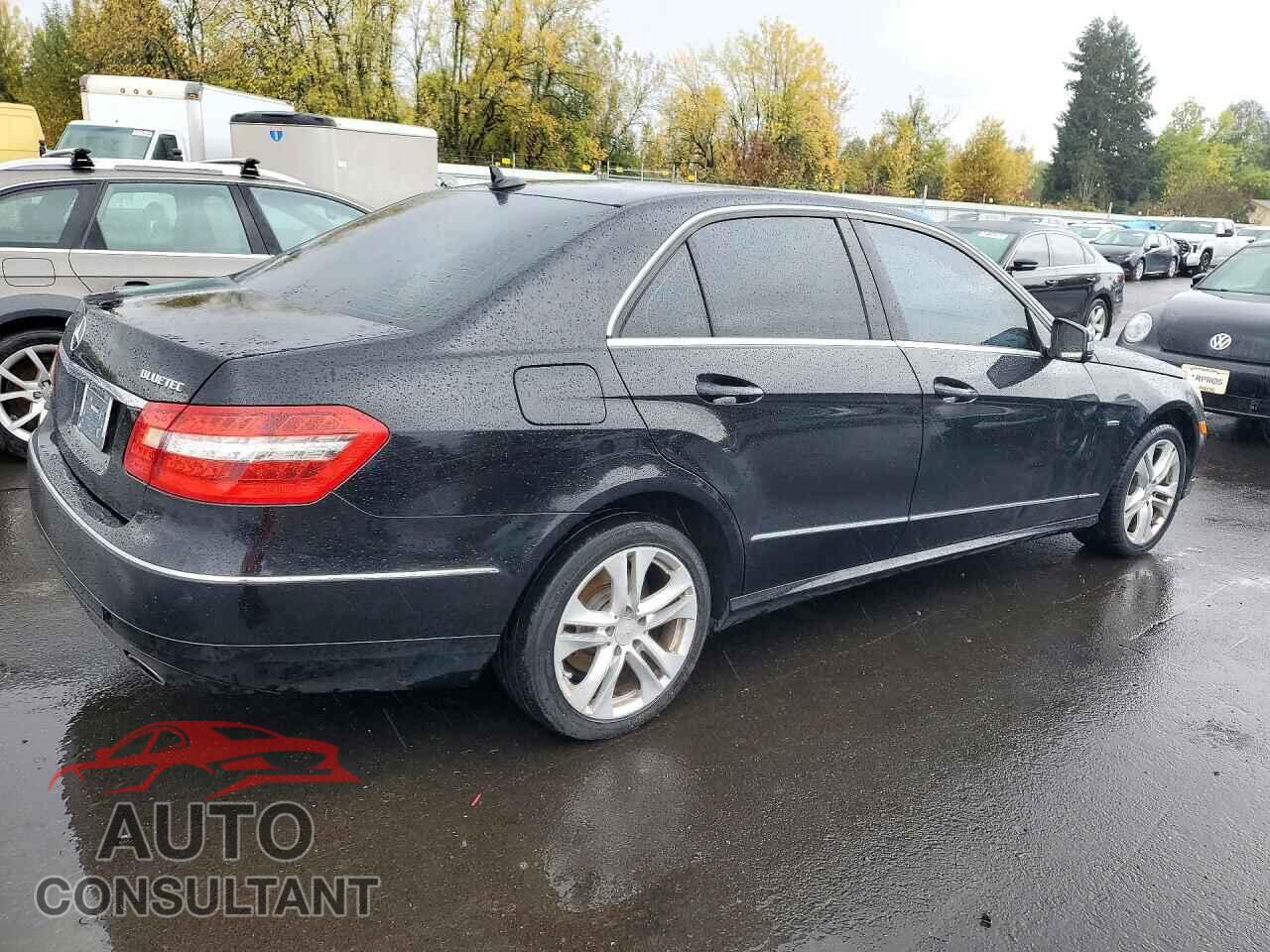 MERCEDES-BENZ E-CLASS 2011 - WDDHF2EB3BA498527