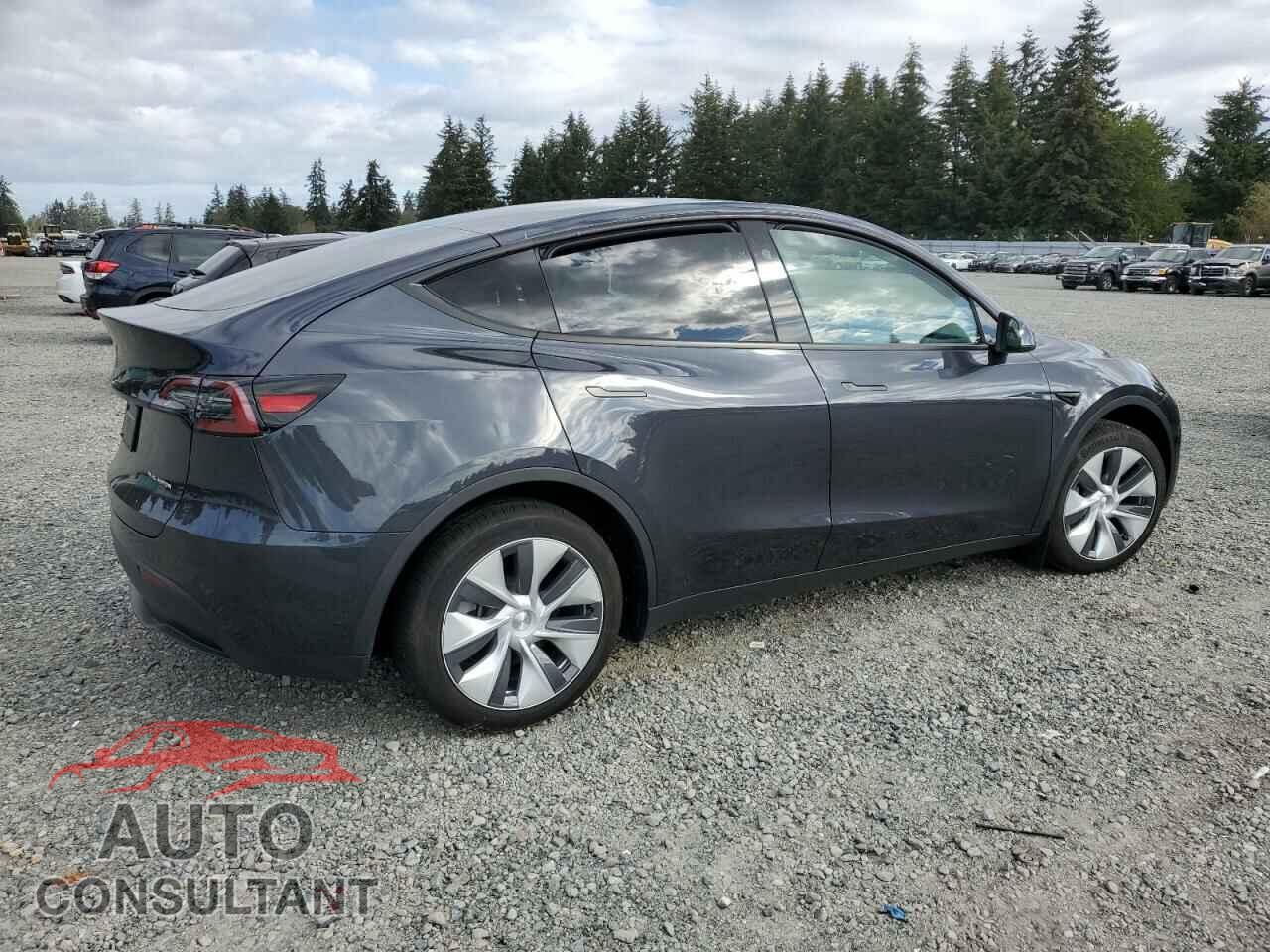 TESLA MODEL Y 2024 - 7SAYGDEE7RF088430