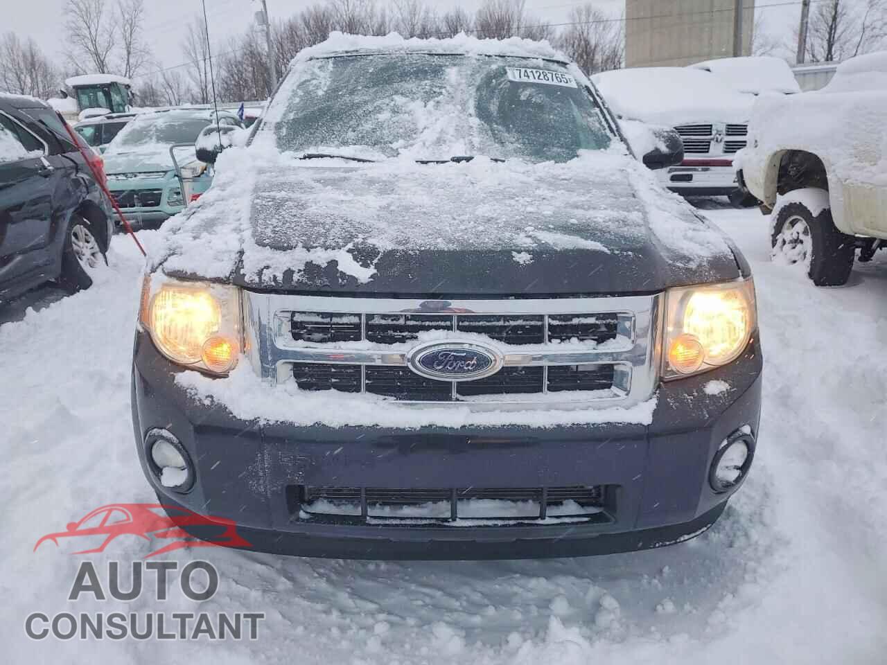 FORD ESCAPE 2010 - 1FMCU0D72AKA12113