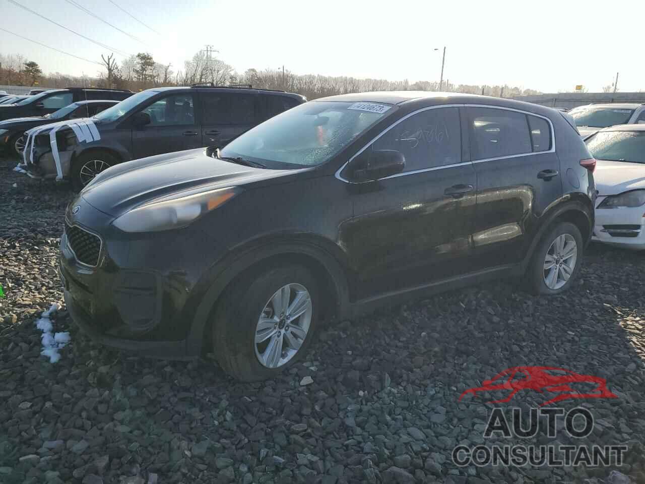 KIA SPORTAGE 2017 - KNDPM3AC3H7161233