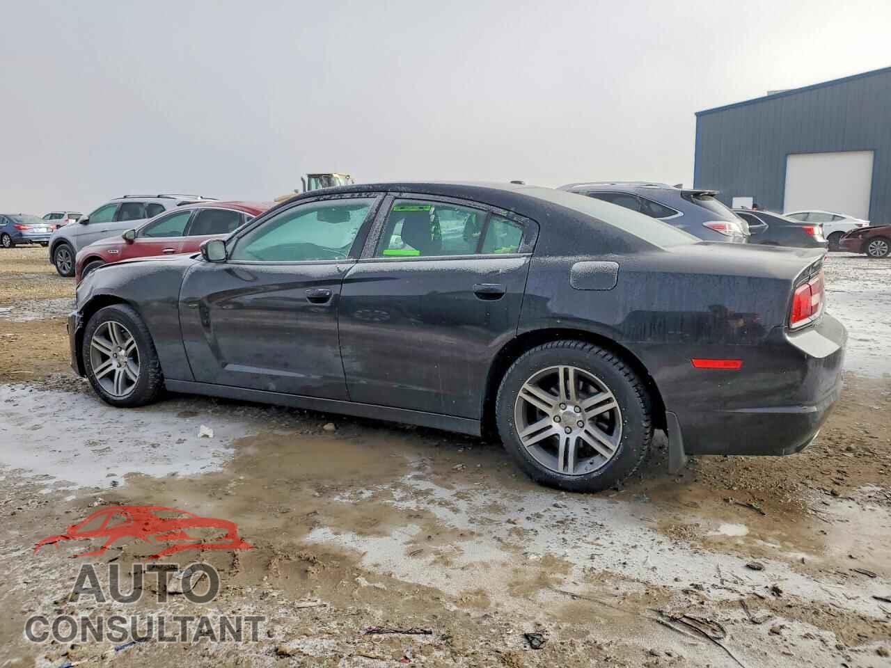 DODGE CHARGER 2014 - 2C3CDXBG4EH319672