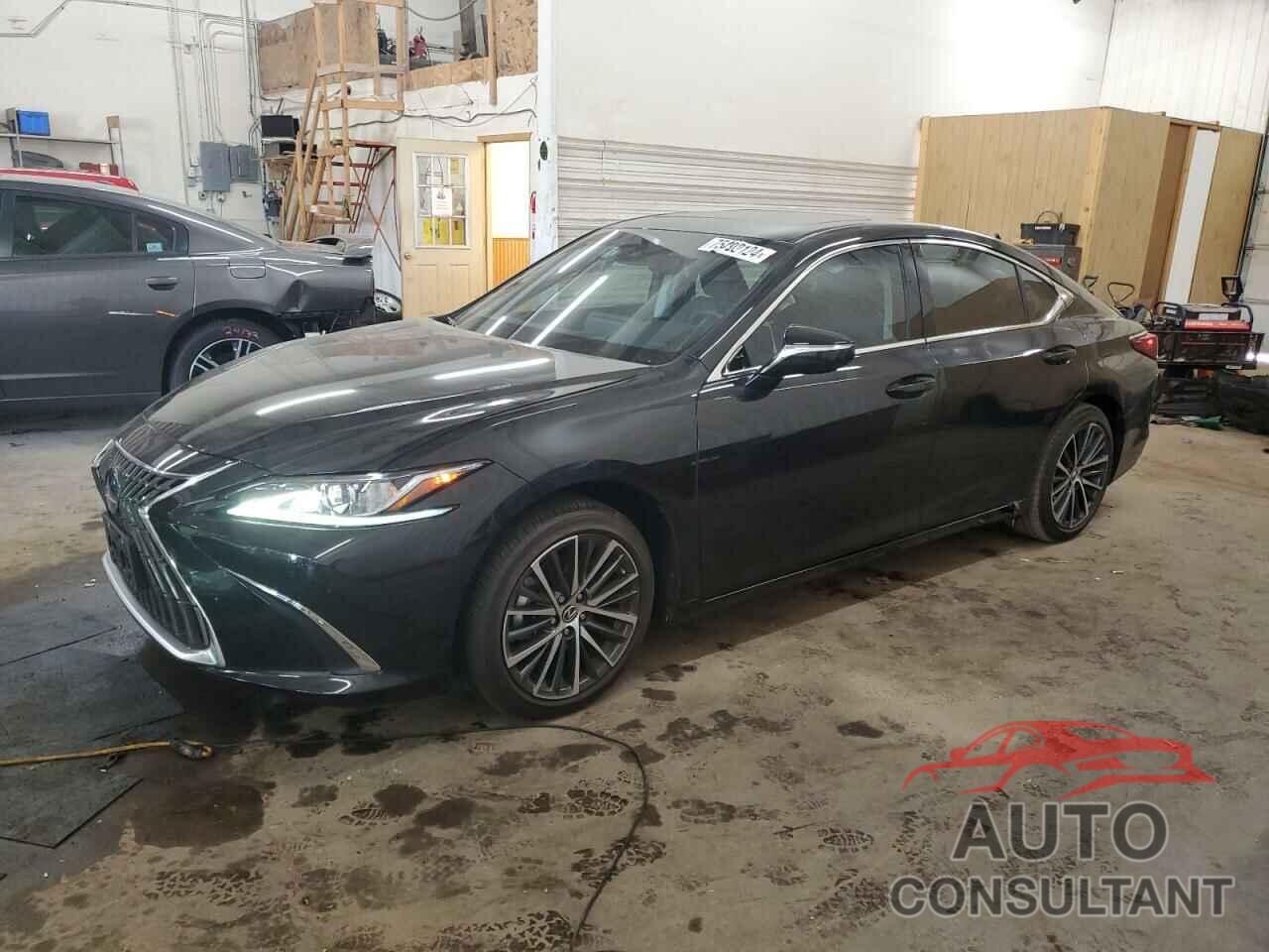 LEXUS ES350 2024 - 58ADZ1B14RU172822