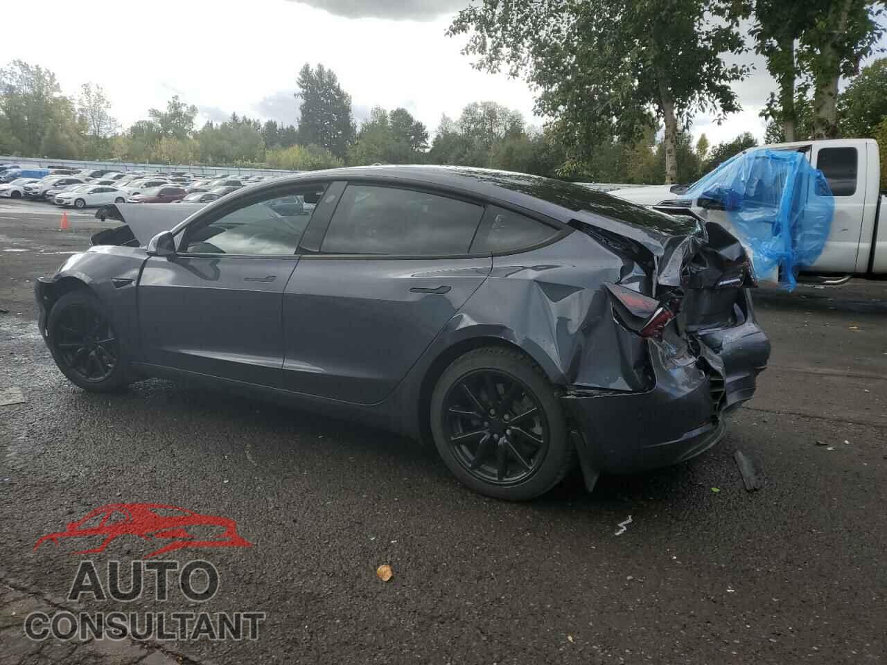 TESLA MODEL 3 2021 - 5YJ3E1EB3MF874834