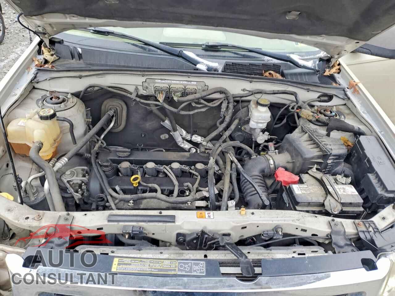 FORD ESCAPE 2011 - 1FMCU0D75BKA25035