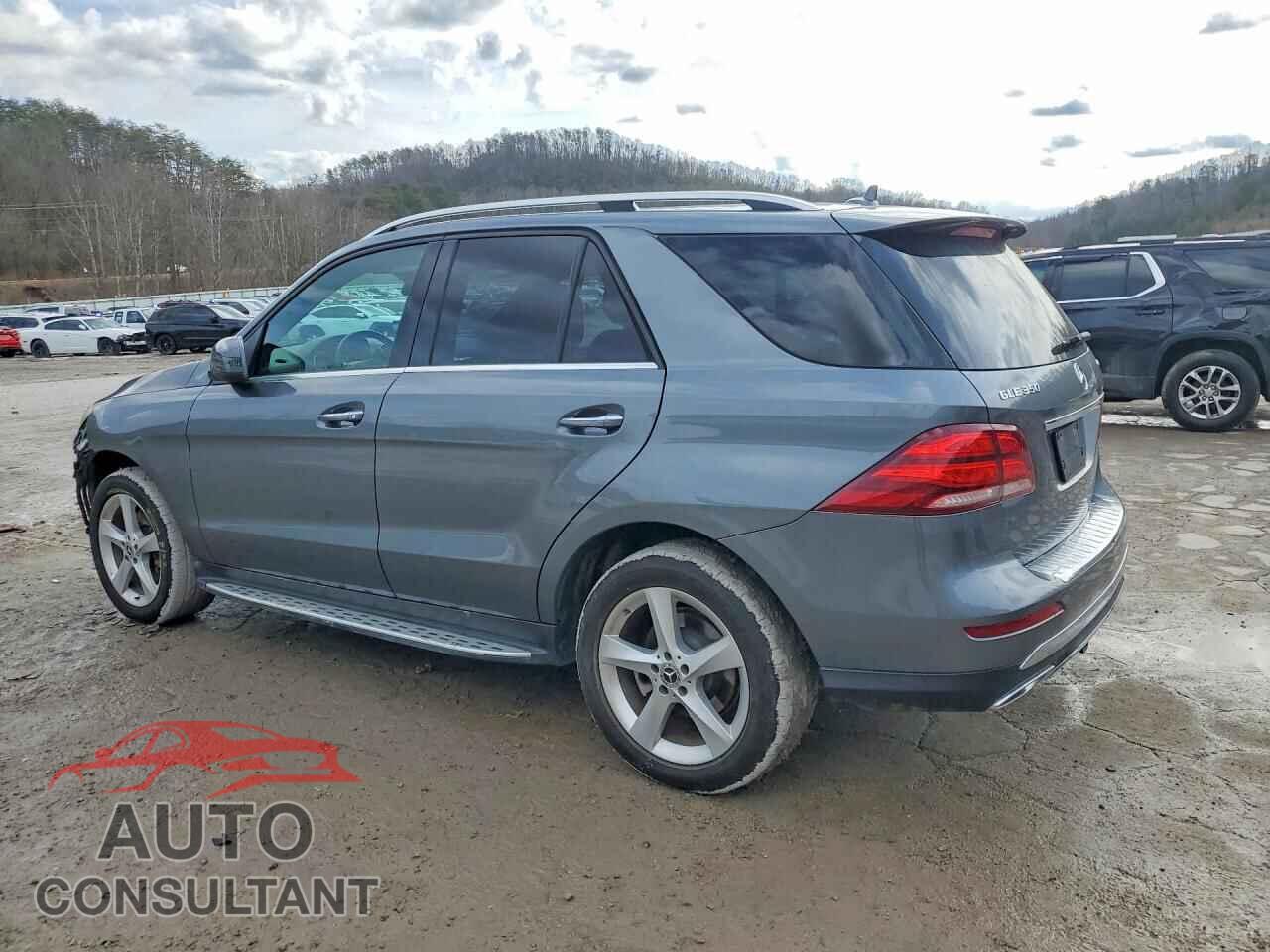 MERCEDES-BENZ GLE-CLASS 2017 - 4JGDA5HB2HA989406