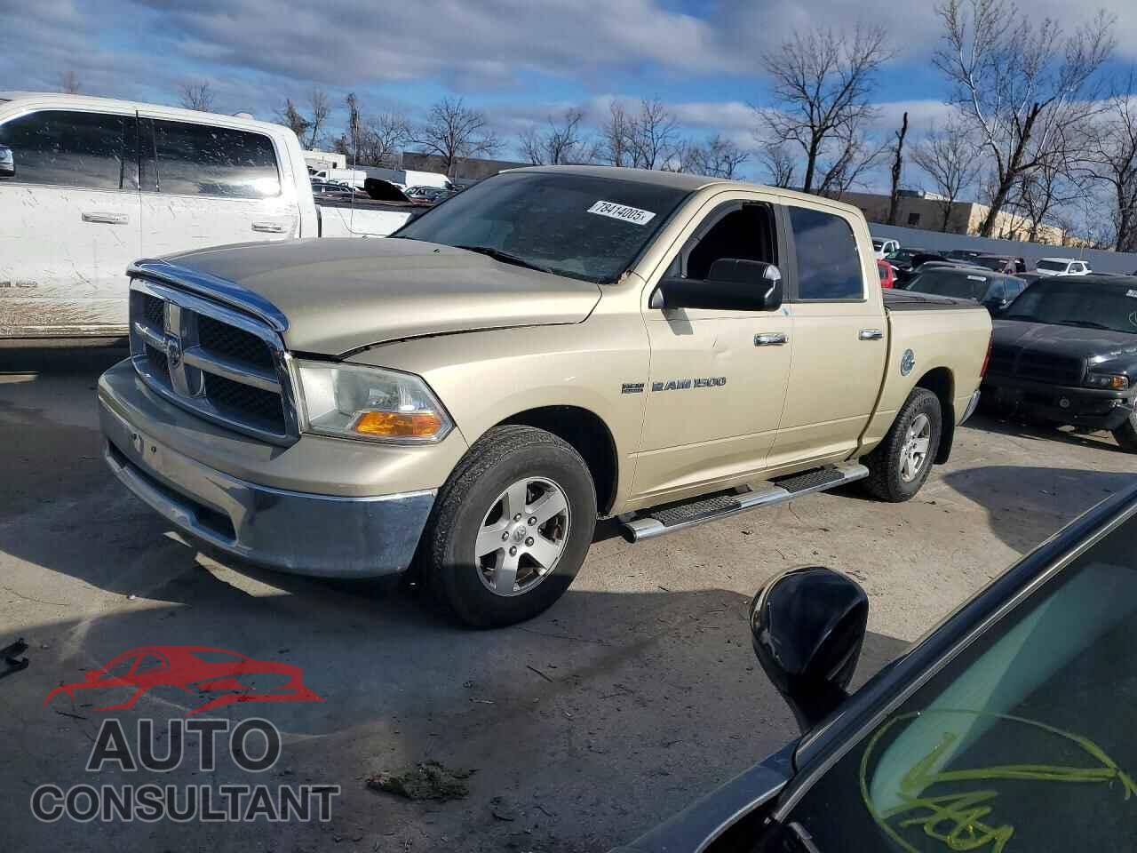 DODGE All Models 2011 - 1D7RB1CT0BS514960