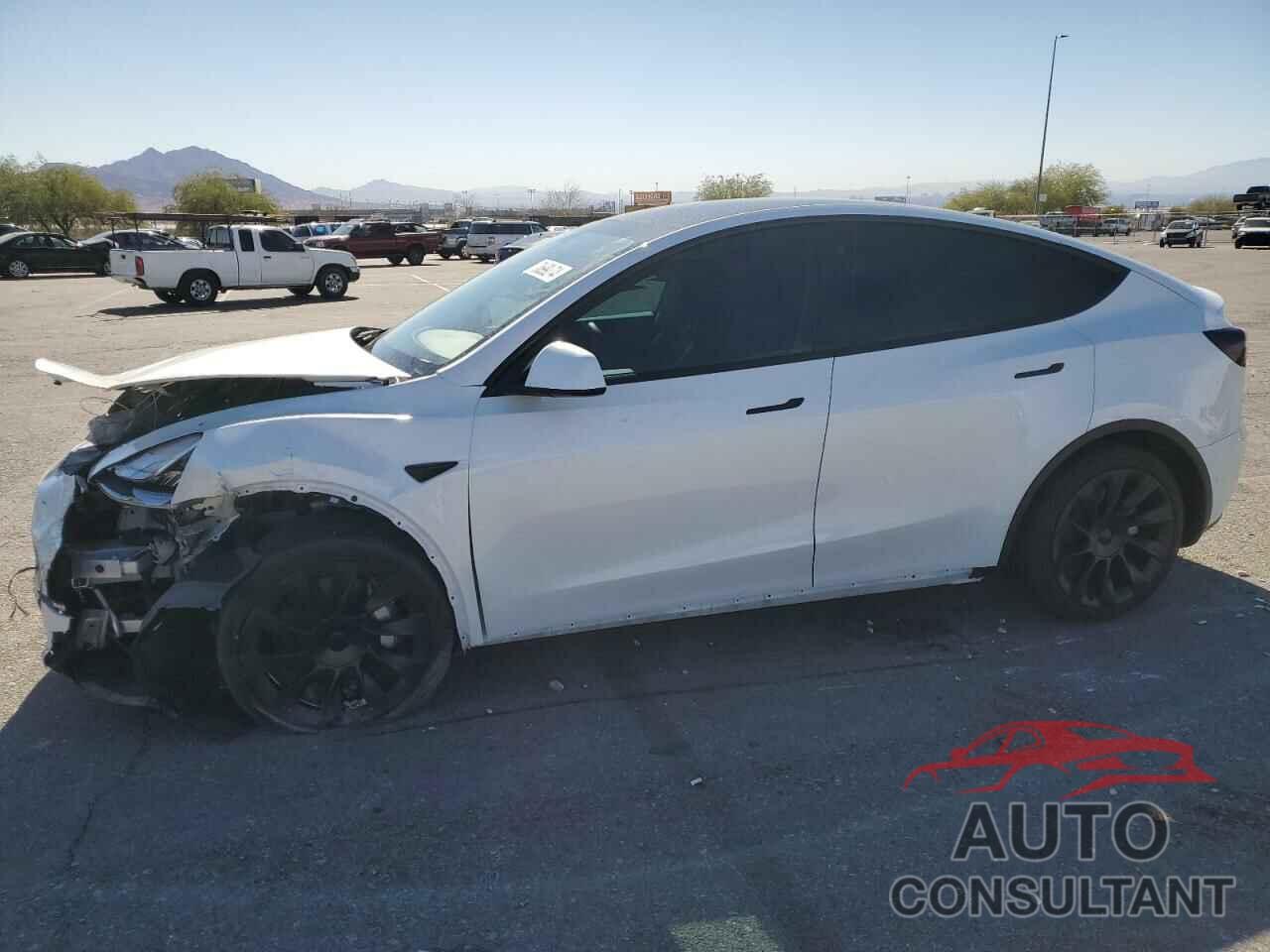 TESLA MODEL Y 2021 - 5YJYGDEE5MF233499