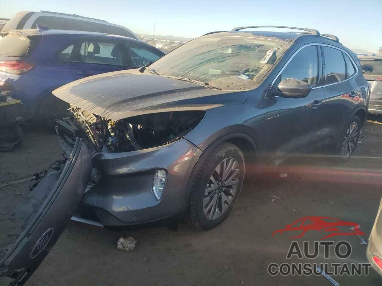 FORD ESCAPE 2022 - 1FMCU0DZXNUA26305