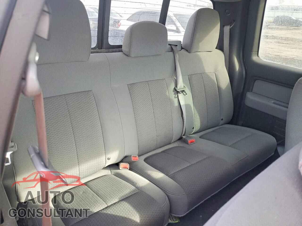 FORD F150 2011 - 1FTFX1EF9BKD55751
