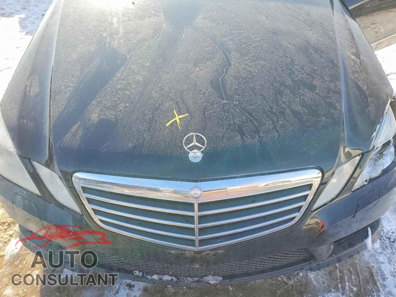 MERCEDES-BENZ E-CLASS 2011 - WDDHF9AB9BA384756