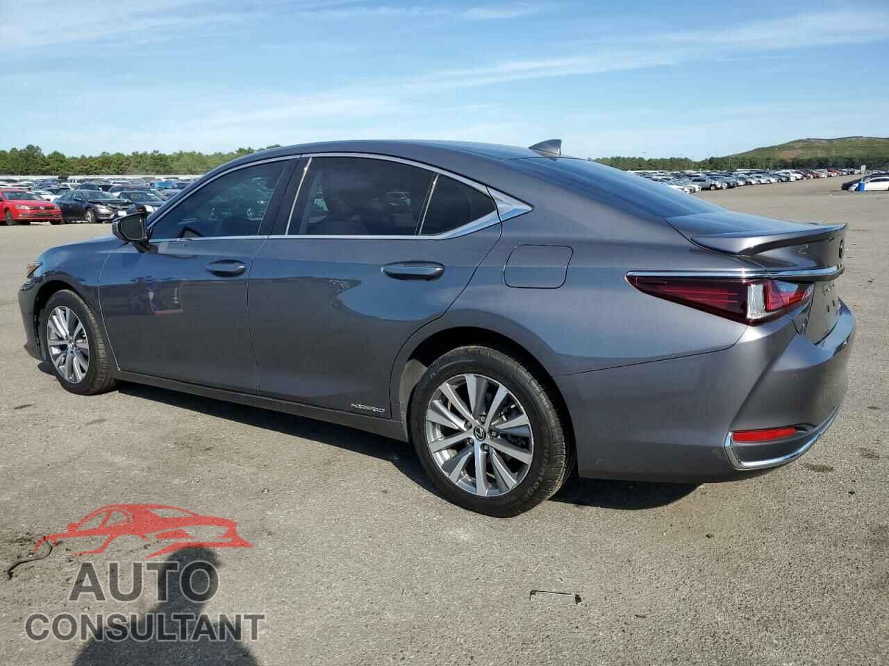 LEXUS ES300 2020 - 58AD21B17LU007133