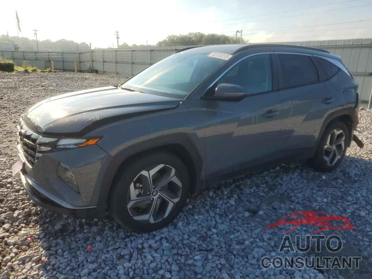 HYUNDAI TUCSON 2024 - 5NMJF3DE0RH307725