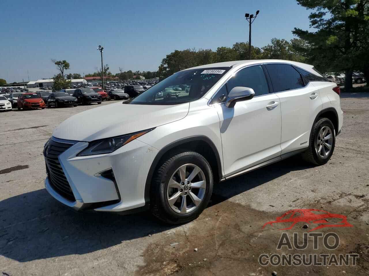 LEXUS RX450 2019 - 2T2BGMCA8KC035423