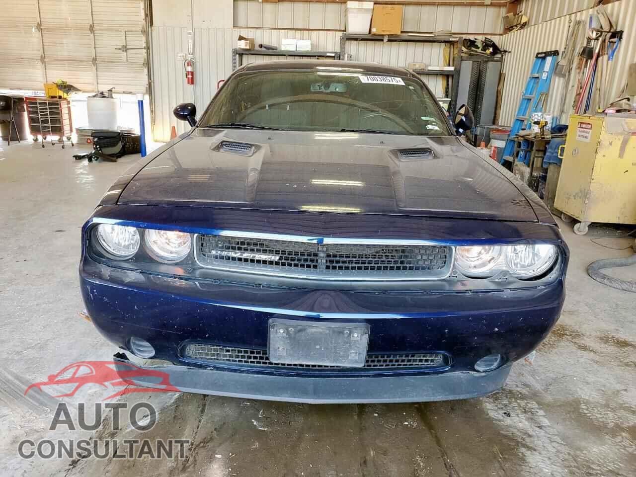 DODGE CHALLENGER 2014 - 2C3CDYAG9EH294162