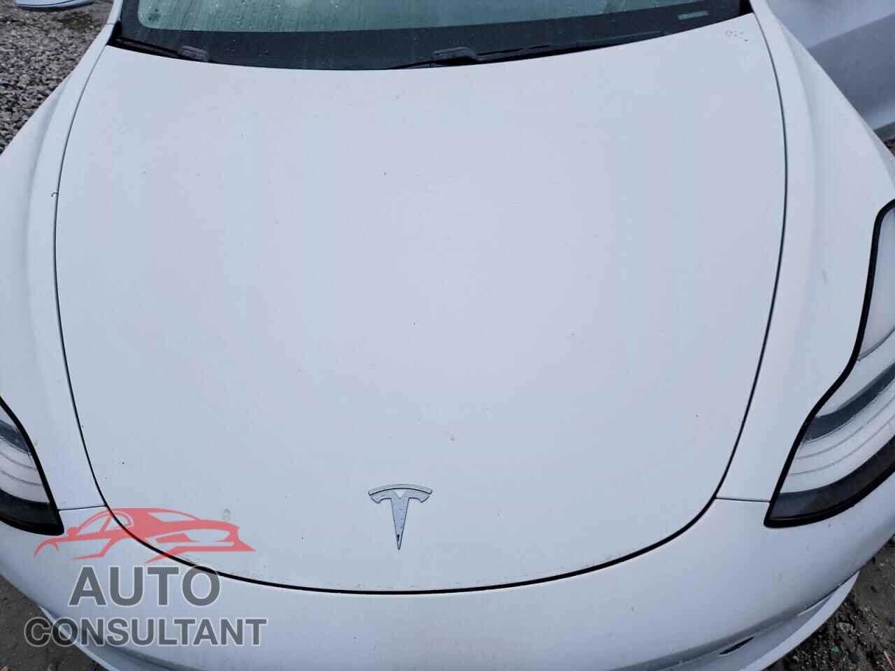 TESLA MODEL 3 2019 - 5YJ3E1EA8KF302713