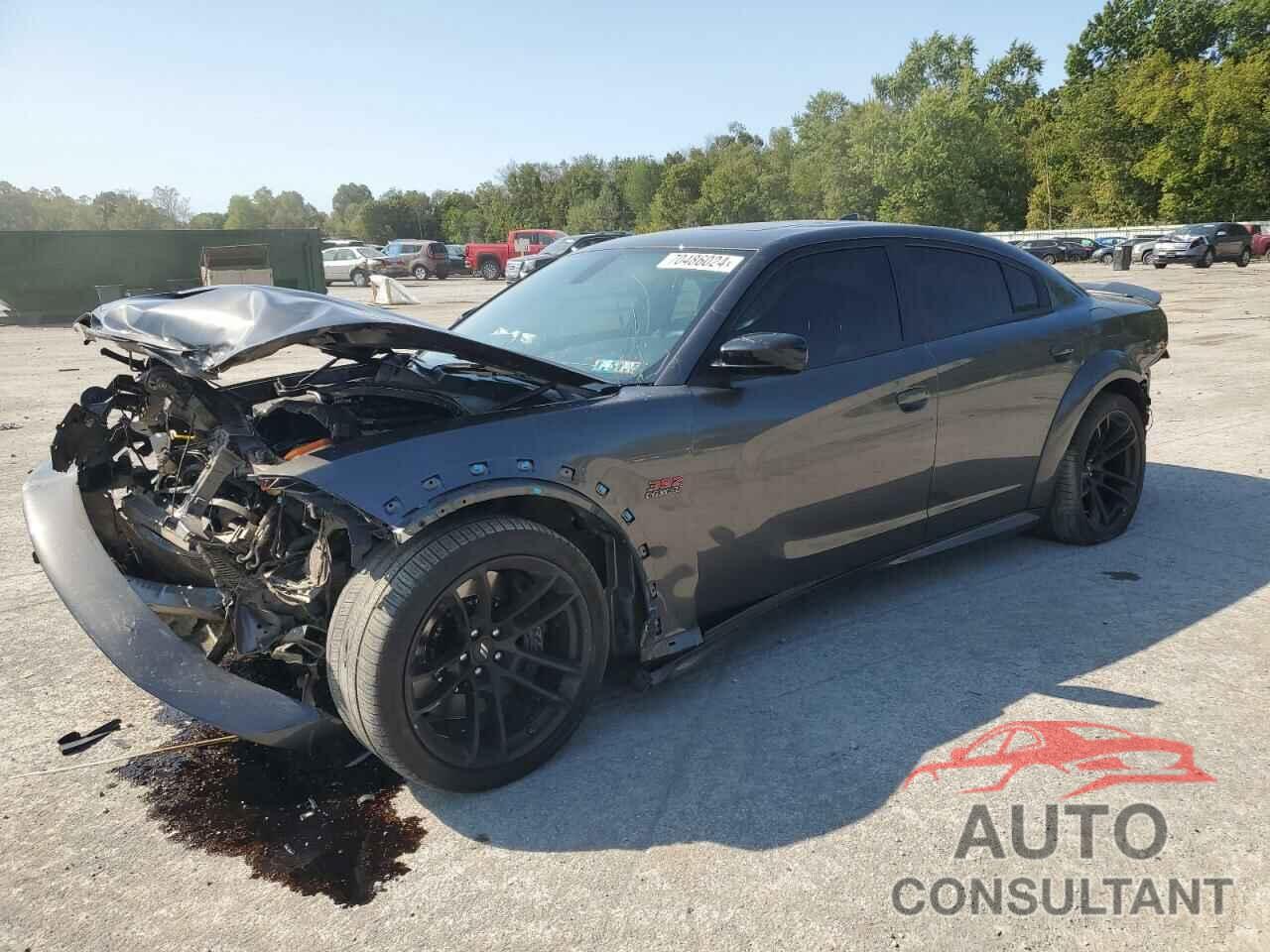 DODGE CHARGER 2023 - 2C3CDXGJXPH630983