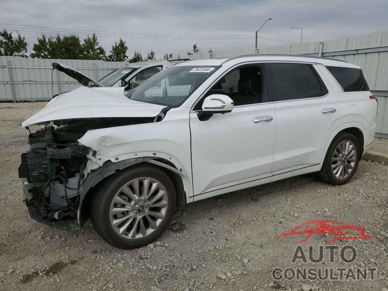 HYUNDAI PALISADE 2020 - KM8R5DHE5LU058128
