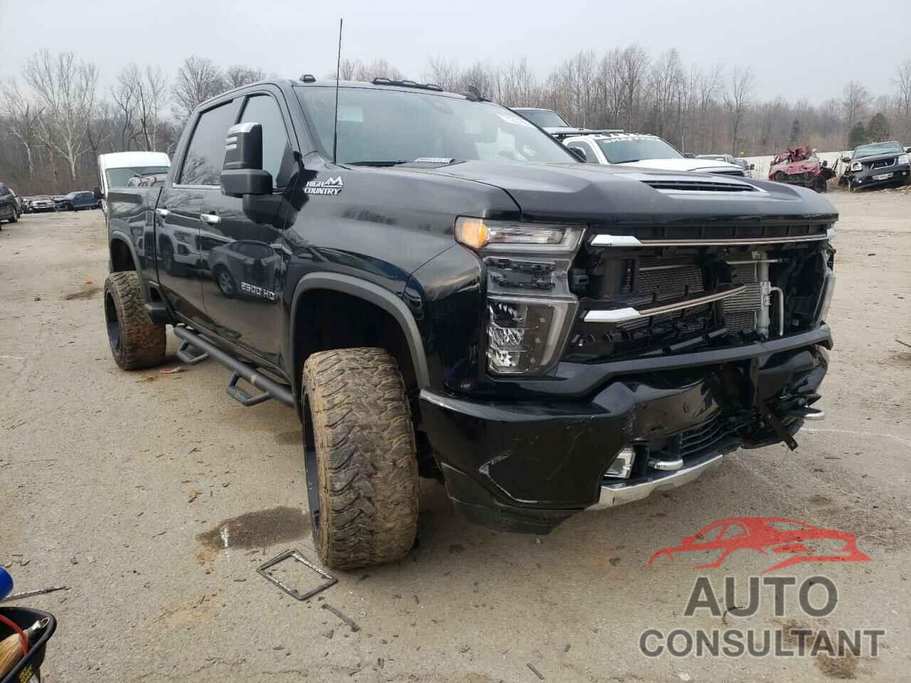 CHEVROLET SILVERADO 2020 - 1GC4YREY1LF231908
