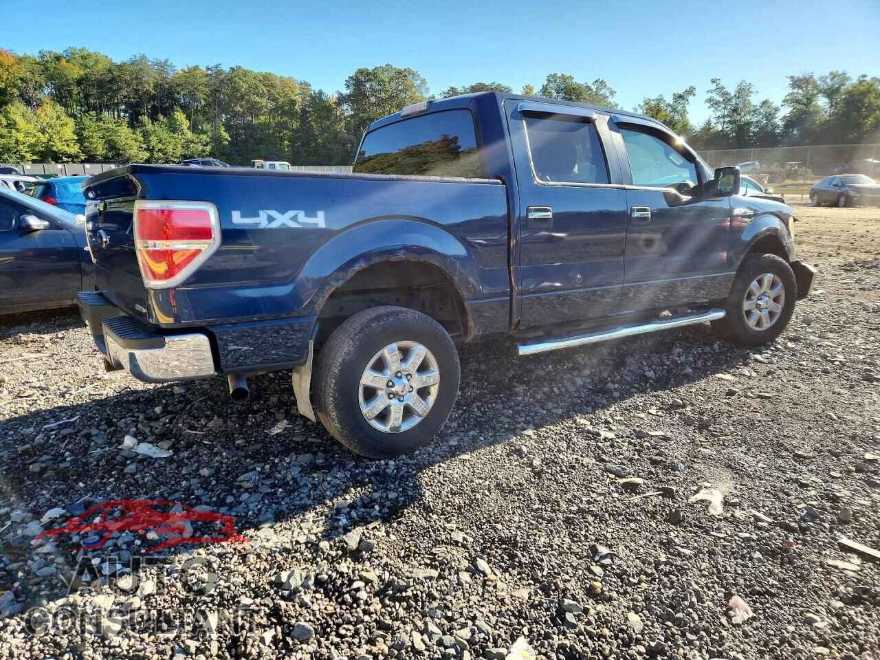 FORD F150 2013 - 1FTFW1EF1DFD29806