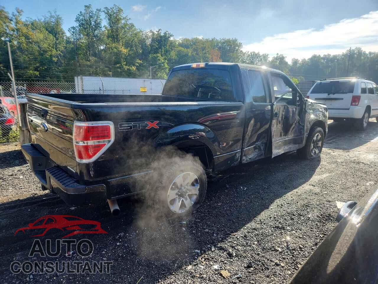 FORD F150 2013 - 1FTFX1CF6DFD95607