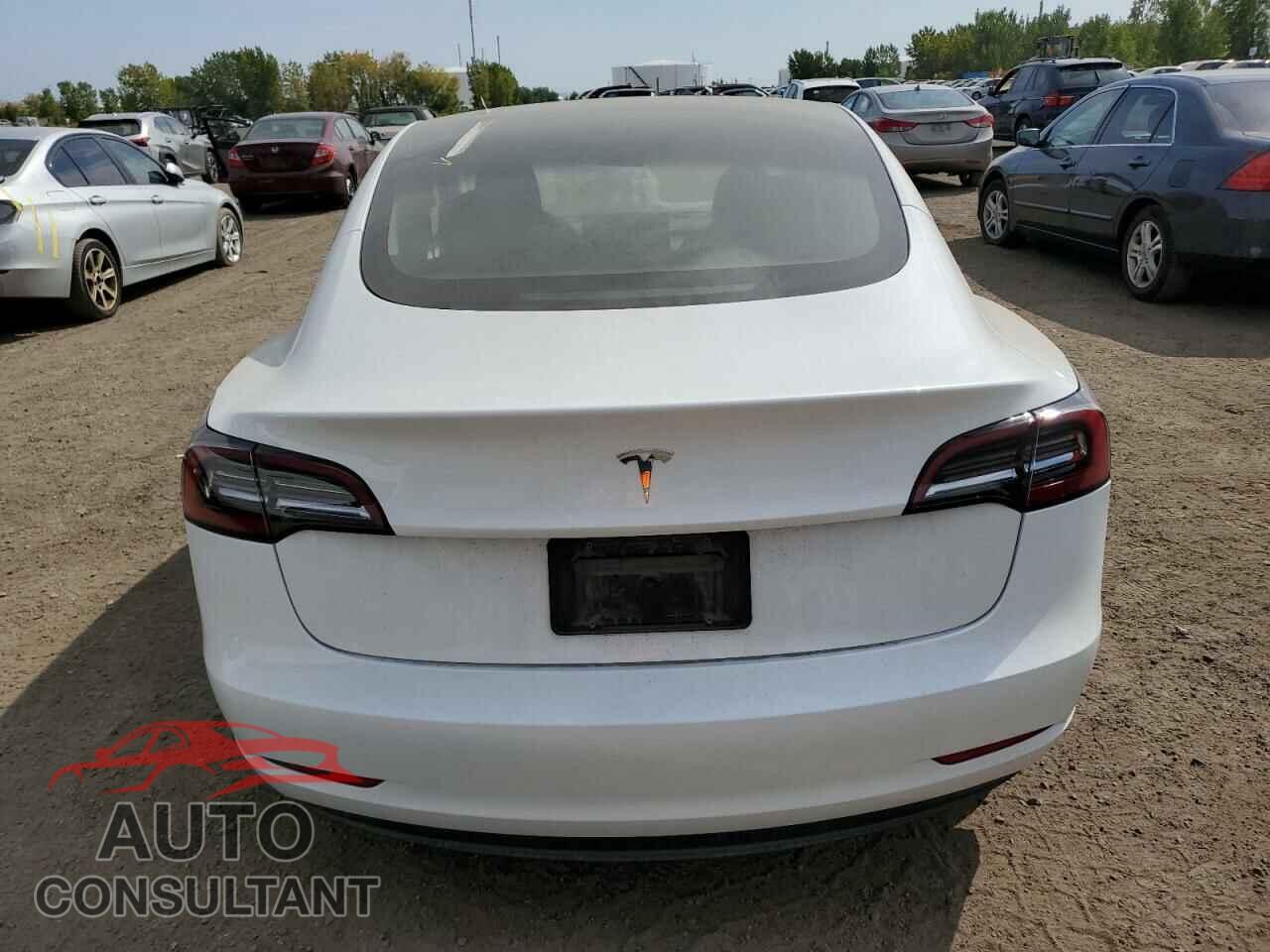 TESLA MODEL 3 2023 - LRW3E1FA2PC872321