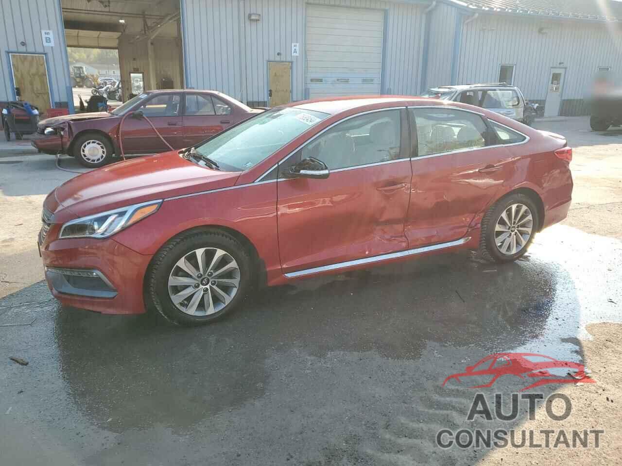 HYUNDAI SONATA 2017 - 5NPE34AF9HH544695