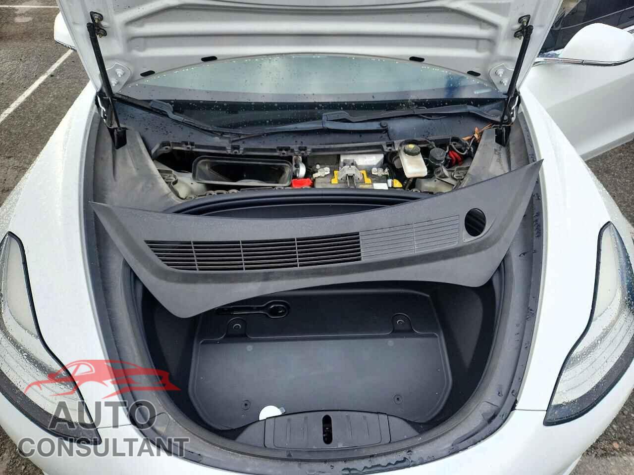 TESLA MODEL 3 2019 - 5YJ3E1EB7KF388394
