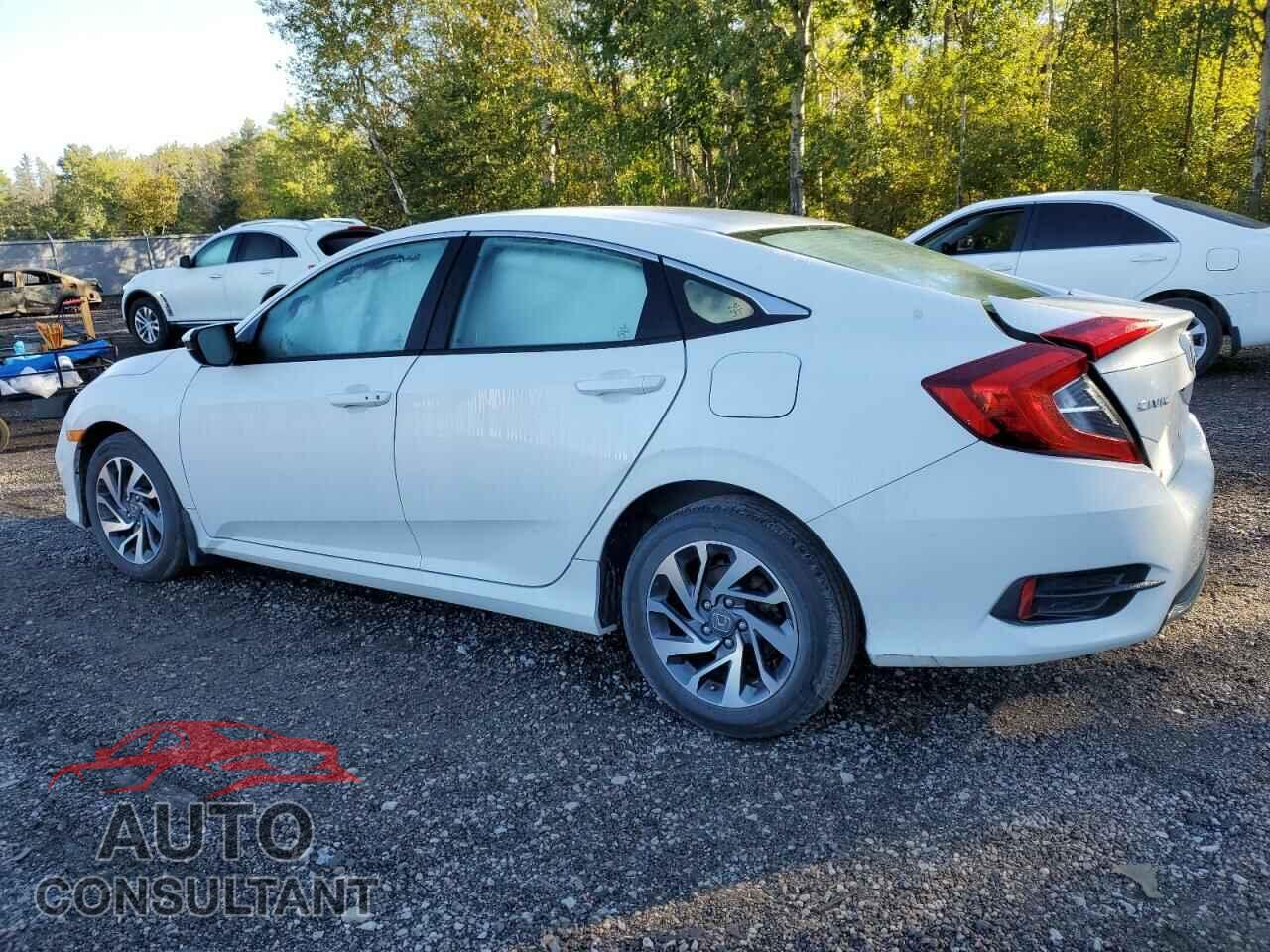HONDA CIVIC 2019 - 2HGFC2F75KH014588