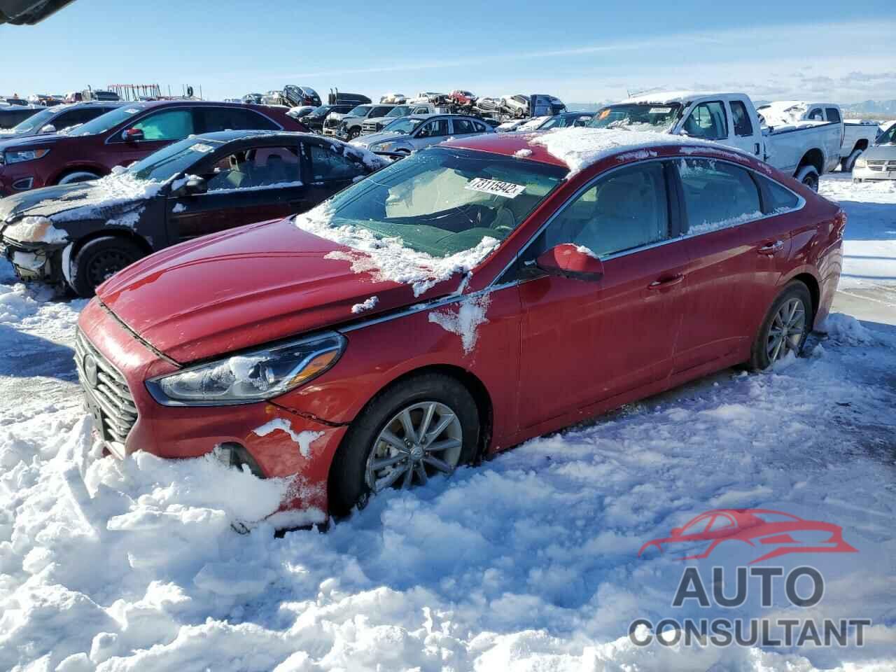 HYUNDAI SONATA 2019 - 5NPE24AF4KH784621