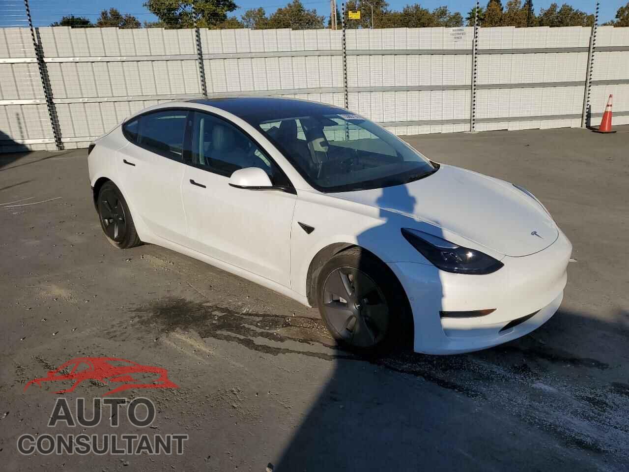 TESLA MODEL 3 2021 - 5YJ3E1EA0MF095740