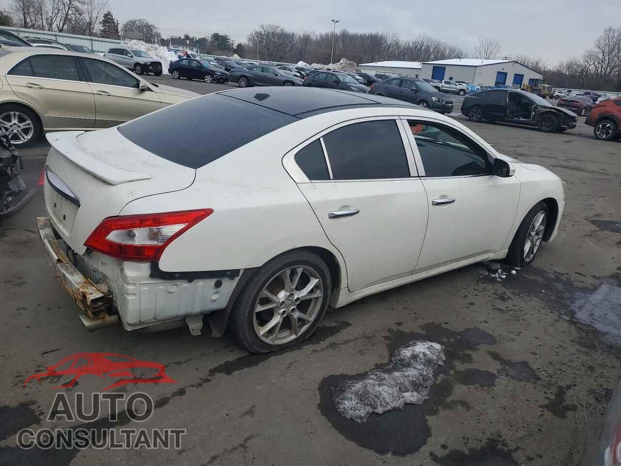 NISSAN MAXIMA 2011 - 1N4AA5AP7BC821601