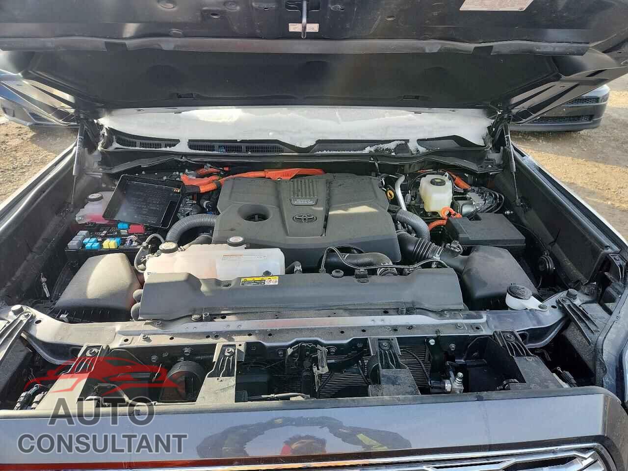 TOYOTA SEQUOIA 2025 - 7SVAAABA7SX071225