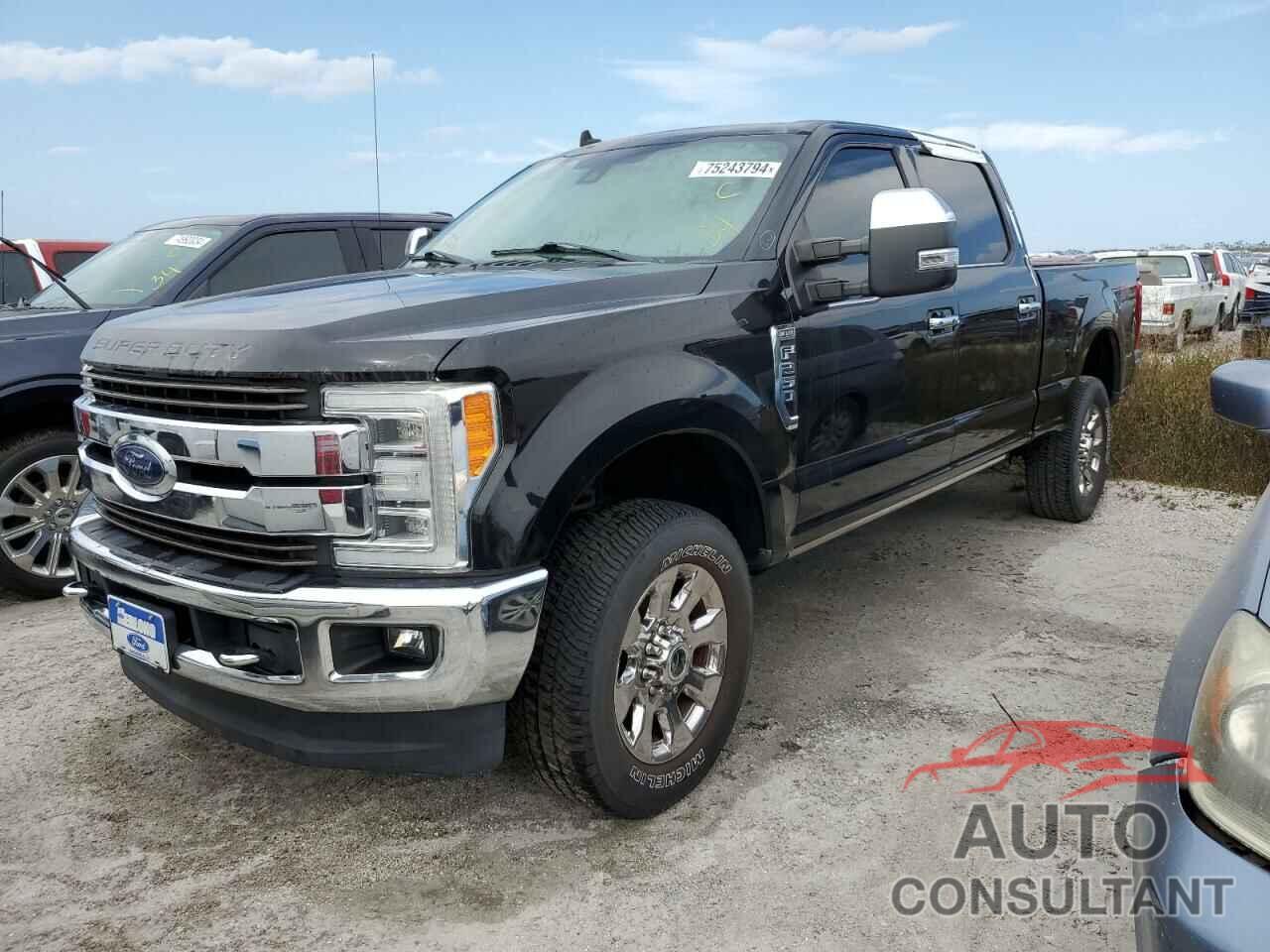 FORD F250 2019 - 1FT7W2B66KEC19559