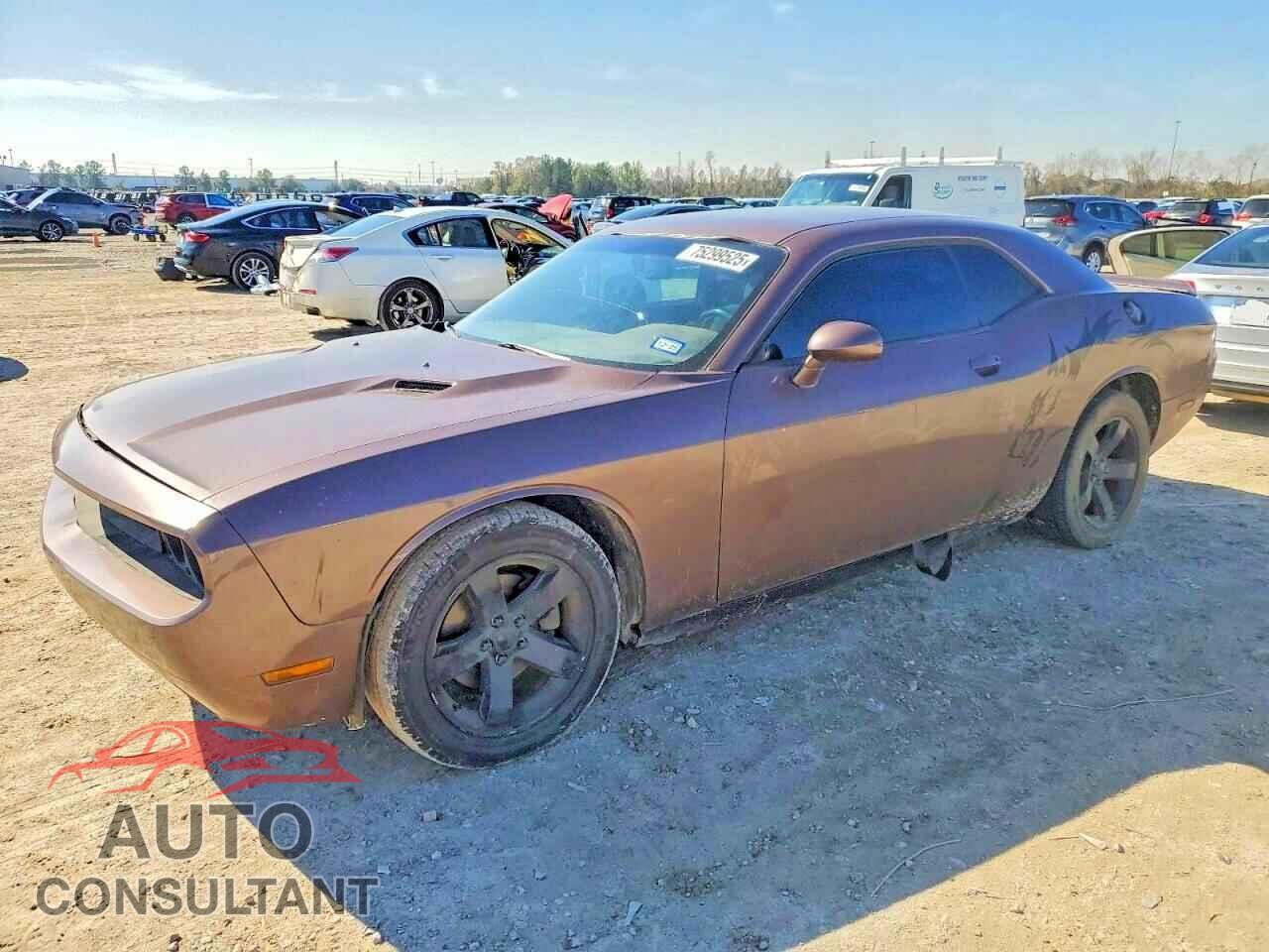 DODGE CHALLENGER 2013 - 2C3CDYAG0DH723851