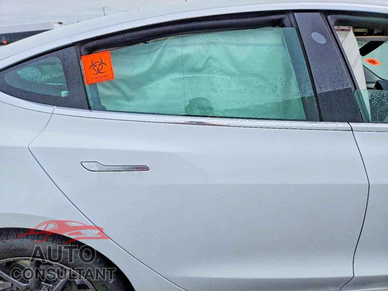 TESLA MODEL 3 2019 - 5YJ3E1EB3KF452916