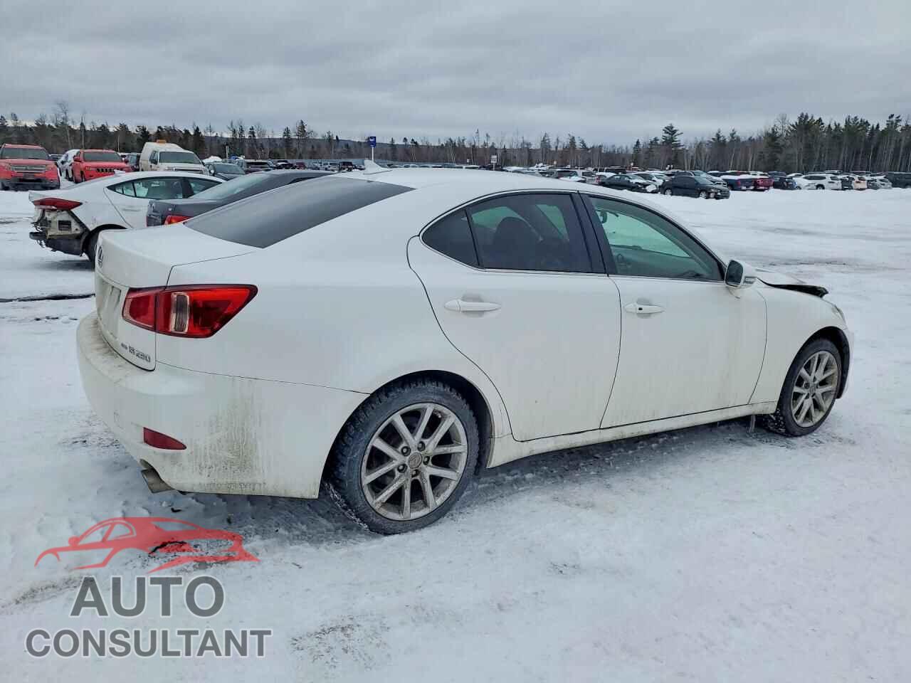 LEXUS IS 2011 - JTHCF5C24B5045792