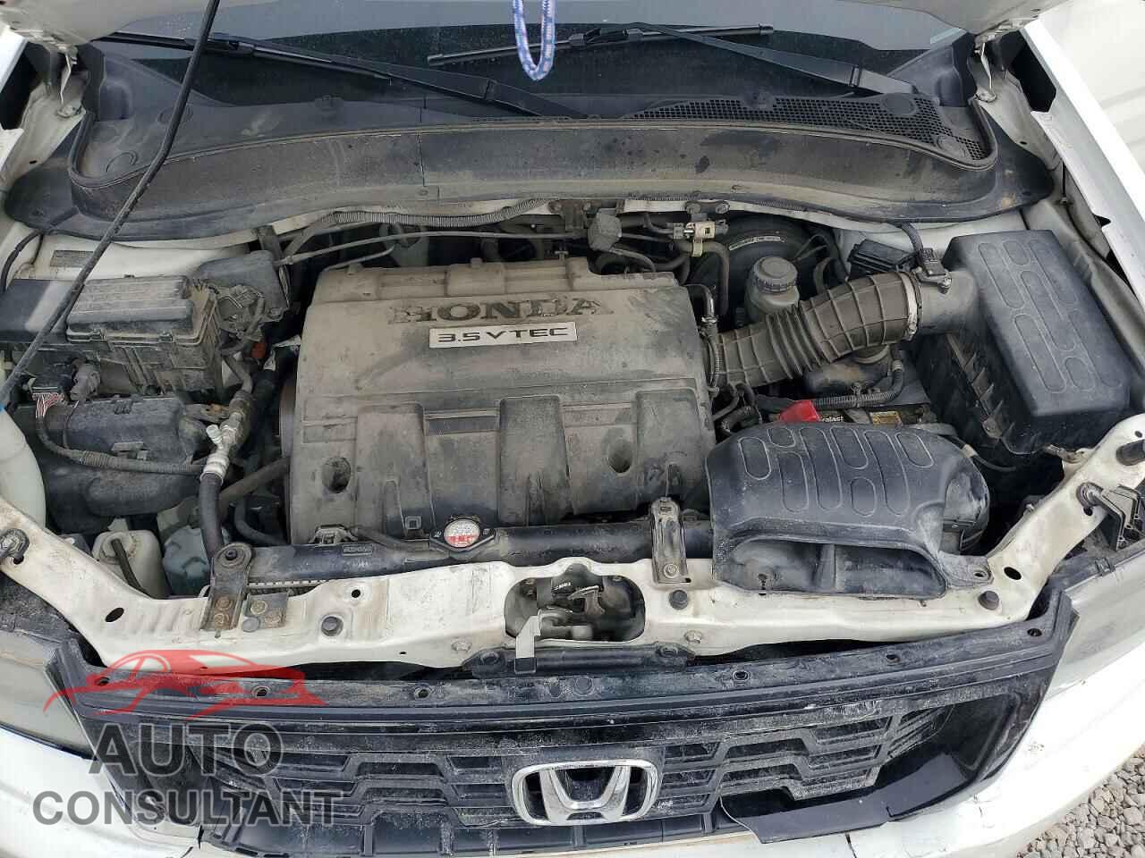 HONDA RIDGELINE 2013 - 5FPYK1F71DB013314